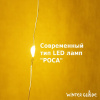 Гирлянда светодиодная Занавес Winter Glade 200 ламп