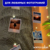 Гирлянда светодиодная Занавес Winter Glade 200 ламп