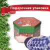 Набор ёлочных шаров Winter Glade, папье-маше, 14 шт.